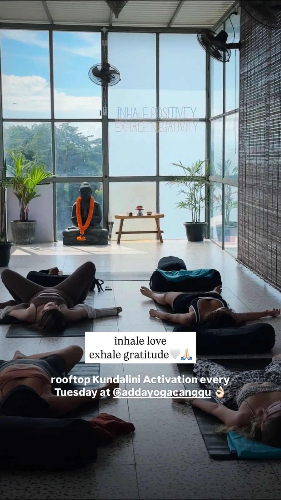 Message from a Kundalini Activation participant, shared by Alina