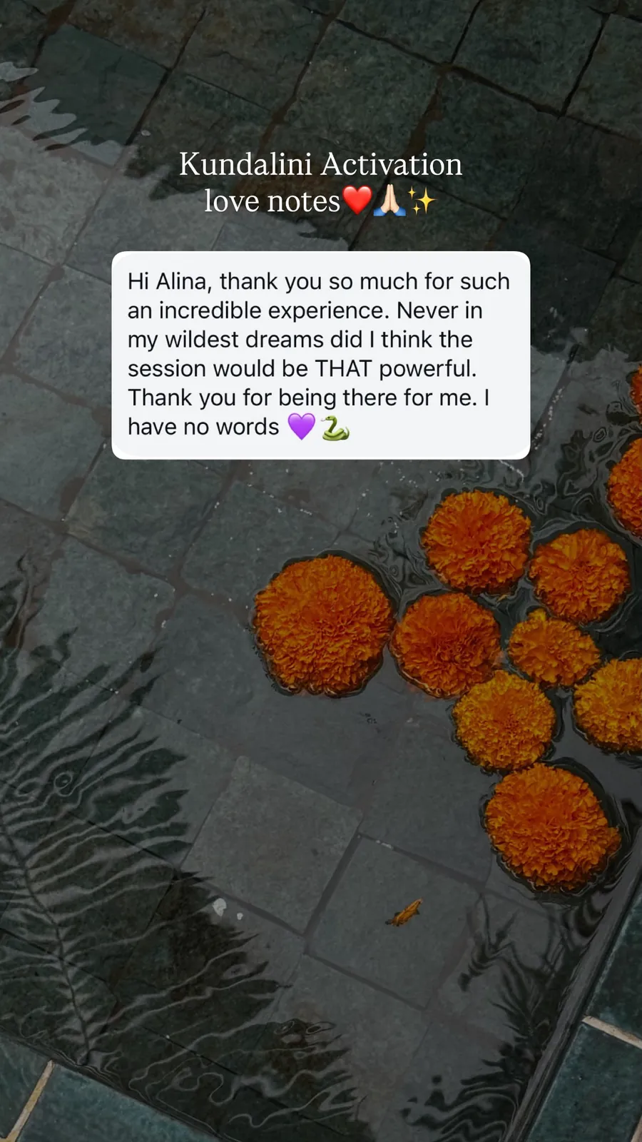 Message from a Kundalini Activation participant, shared by Alina