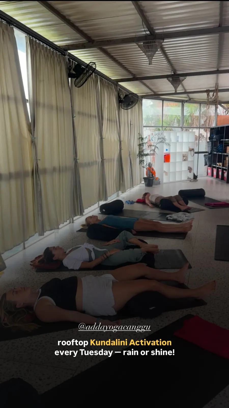 Message from a Kundalini Activation participant, shared by Alina