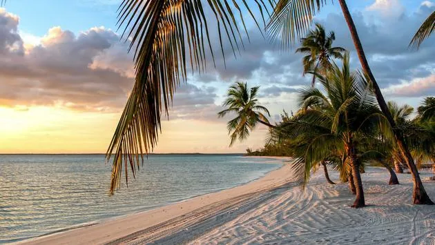 Paradise Island Bahamas Romantic Couple Relationships Therapy Retreat
