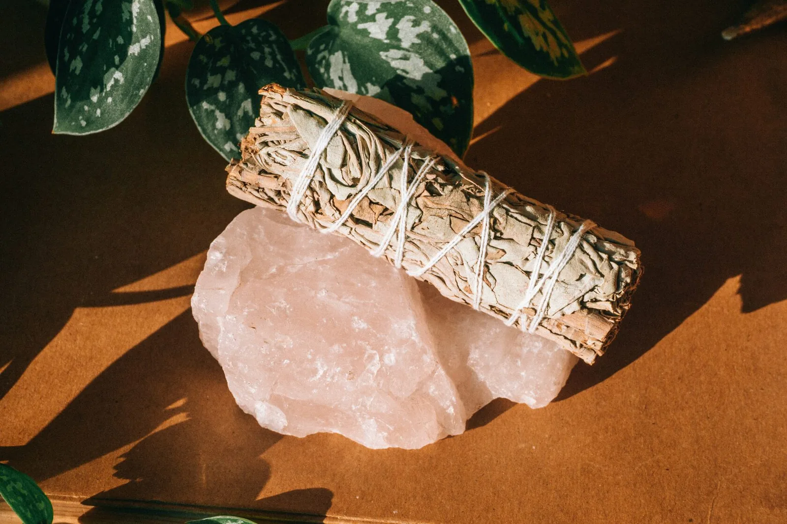 Are Palo Santo And Sage The Same?