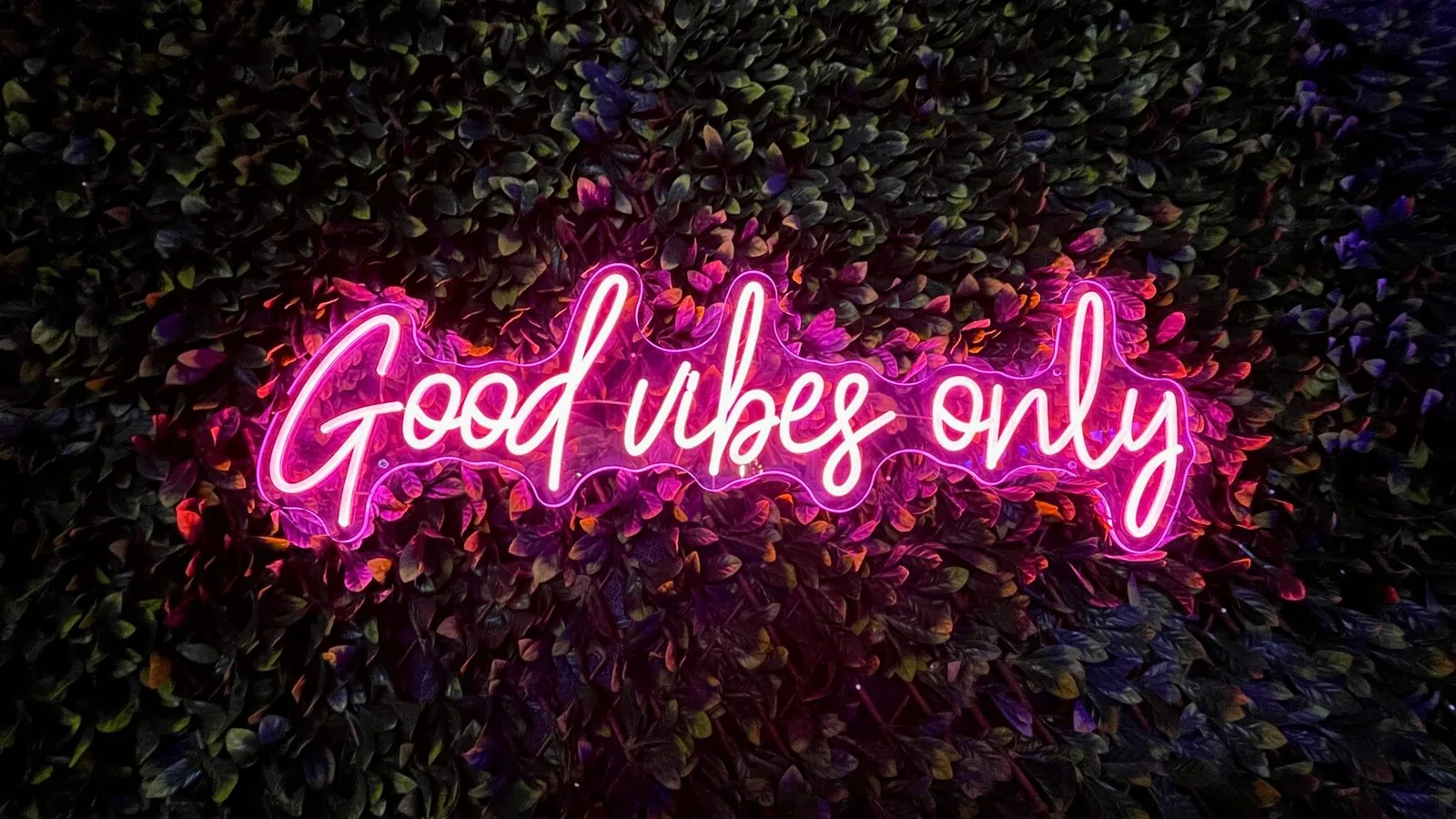 Good Vibes And Bad Vibes: What Do They Really Mean?