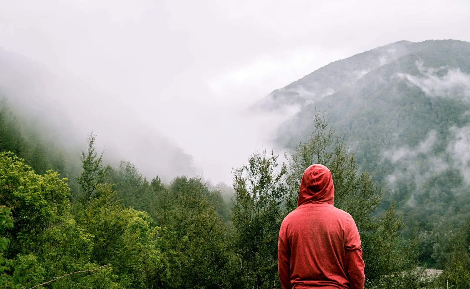 Panic attacks are intense episodes of overwhelming fear and anxiety that can manifest both physically and mentally.