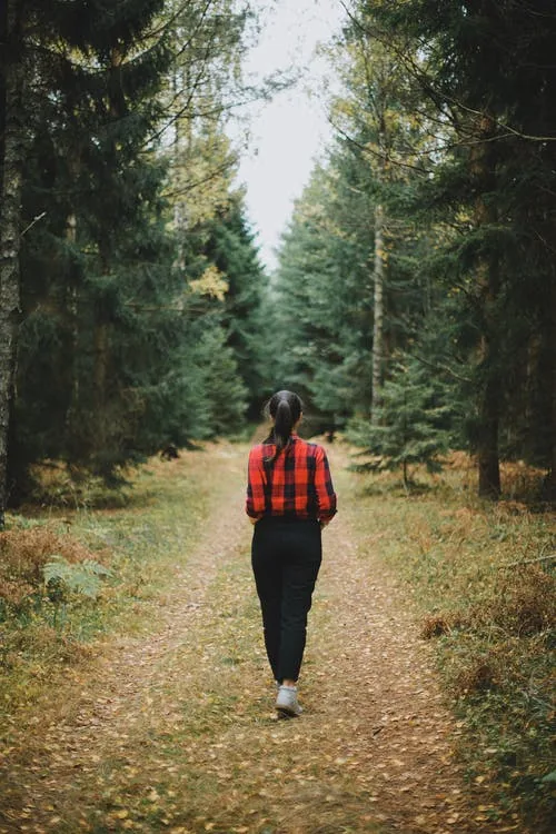 woman walking in the nature, getting grounded, connecting to the earth and digital detoxing